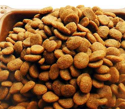 Study on Quality Control in Dog Food Processing